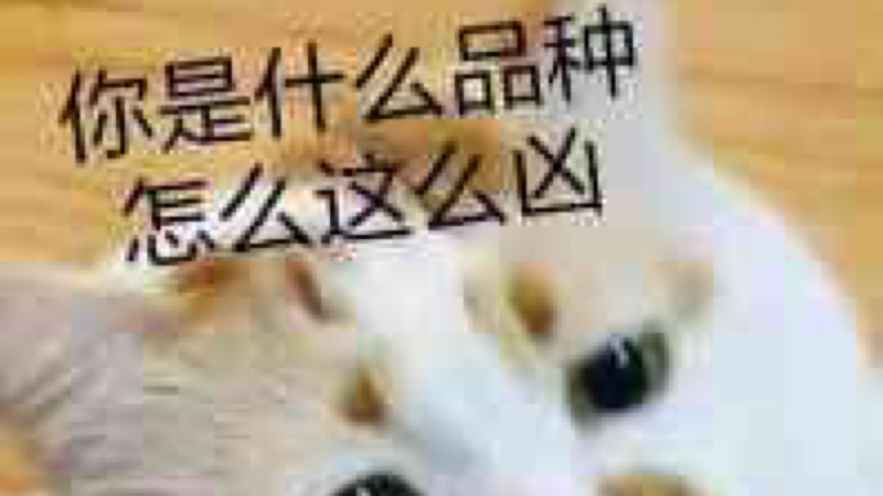 刺客伍六七最燃片段